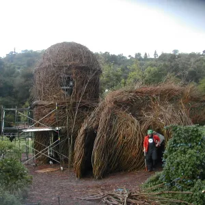 Construction of Toad Hall by Patrick Dougherty