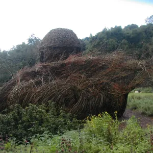 Construction of Toad Hall by Patrick Dougherty