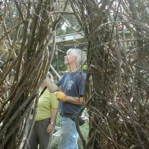 Construction of Toad Hall by Patrick Dougherty