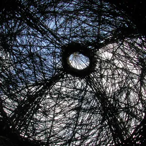 Construction of Toad Hall by Patrick Dougherty