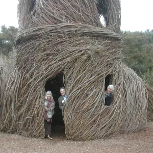 Construction of Toad Hall by Patrick Dougherty