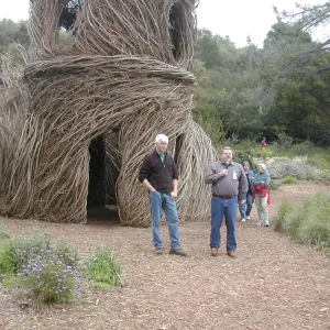 Construction of Toad Hall by Patrick Dougherty