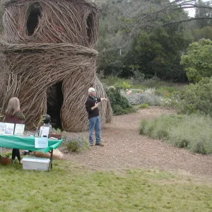 Construction of Toad Hall by Patrick Dougherty