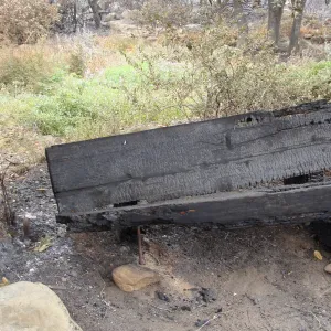 burned wood bench, at the top of the Meadow, Santa Barbara Botanic Garden, after the Jesusita Fire