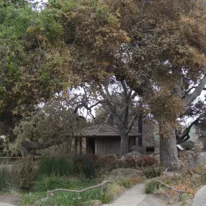The Pond and Information Kisok, Santa Barbara Botanic Garden, after the Jesusita Fire