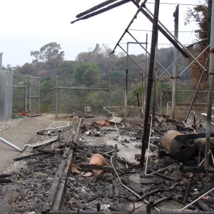 Conservation lath house, destroyed by the Jesusita Fire