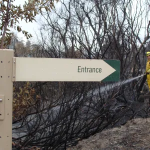 Fire fighter spraying water on the East Slope, after the Jesusita Fire