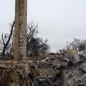 Gane House site, after the Jesusita Fire