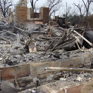 Gane House site, after the Jesusita Fire