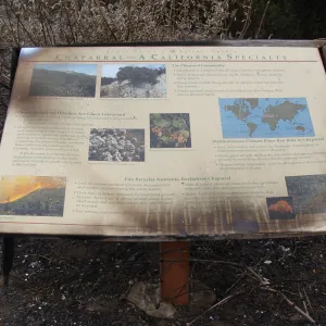 'Chaparral' sign burned in the Jesusita Fire