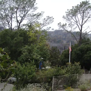 viewing west to the ridgeline above Tunnel Road, across Mission Canyon Road and the SBBG Parking Lot, after the Jesusita Fire