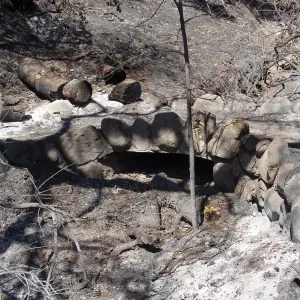 Stone reinforced footbridge on the Pritchett Trail, drainage ditch from Tunnel Road, after the Jesusita Fire