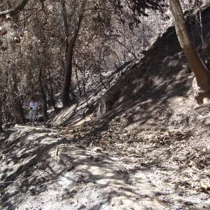 lower section of the Pritchett Trail, after the Jesusita Fire