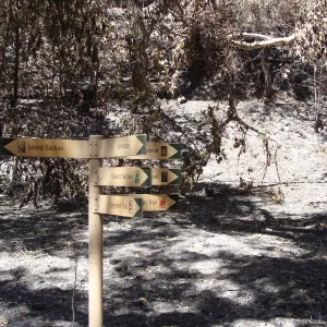 Directional signage at the Campbell Bridge location along the Canyon Trail, after the Jesusita Fire