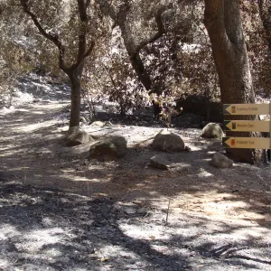 directional signage along the Canyon Trail, at the Campbell Bridge intersection, after the Jesusita Fire