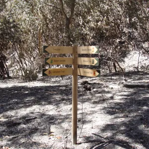 Directional signage at the Campbell Bridge and Canyon Trail intersection, after the Jesusita Fire