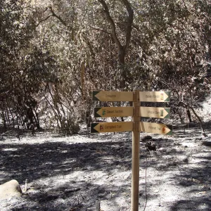 directional signage at the Campbell Bridge and Canyon Trail intersection, after the Jesusita Fire
