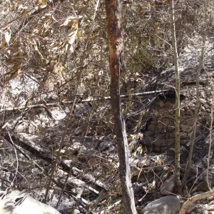 fire debris litters the slope above the Canyon Trail, after the Jesusita Fire