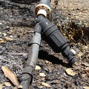melted irrigation pipe in the Island Section, after the Jesusita Fire