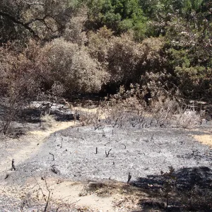 looking down over the Island Section, after the Jesusita Fire