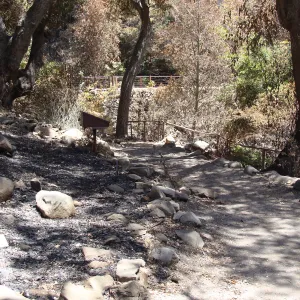 Fiber Arts Display, after the Jesusita Fire