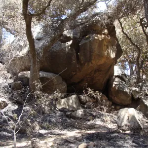 large boulder along the Canyon Trail, after the Jesusita Fire
