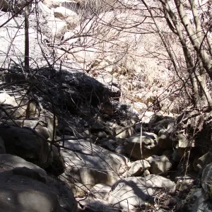 Mission Canyon drainage on the Pritchett Trail slope, after the Jesusita Fire