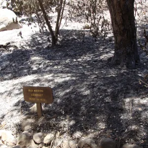 old Mission Aqueduct, after the Jesusita Fire