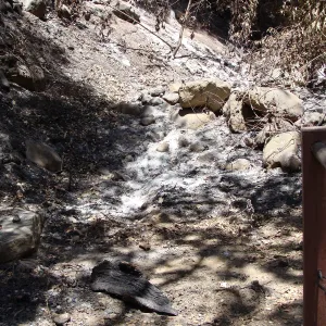 area just to the upper northwest side of the Mission Dam, after the Jesusita Fire