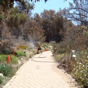 turning on an overhead sprinkler in the Meadow View display, after the Jesusita Fire
