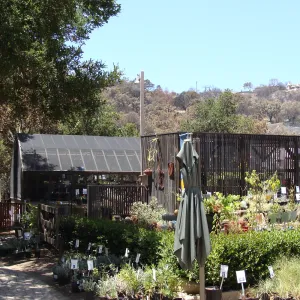 Garden Growers Nursery facility, view from the Courtyard, after the Jesusita Fire