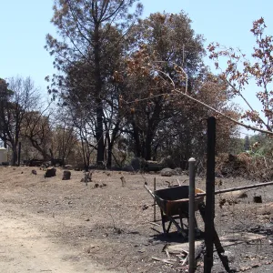 utility area, chip pile location above the Horticulture Unit, after the Jesusita Fire