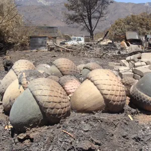 debris, including sculpted concrete acorns, stored at the Gane/Lotterhos site, after the Jesusita Fire