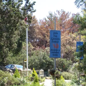 Entrance banners, view of burned trees on the Porter Trail, after the Jesusita Fire