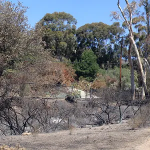 Tunnel Road gate, panorama, one week after the Jesusita Fire