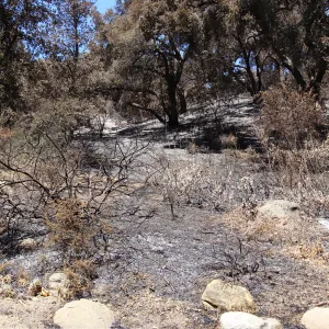 Island Section, after the Jesusita Fire