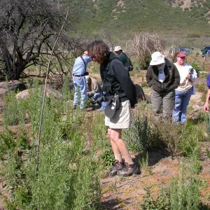 Staff Field Trip, Carol Bornstein
