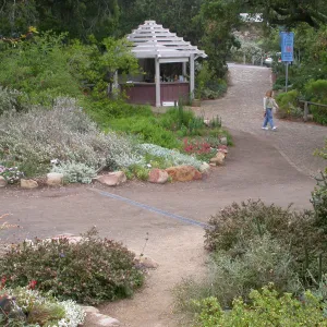 Entrance Kiosk