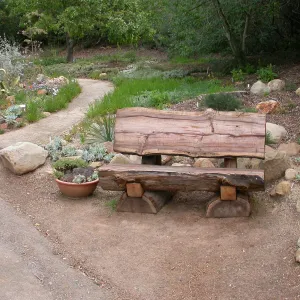 Wood Bench at the Dudleya Display
