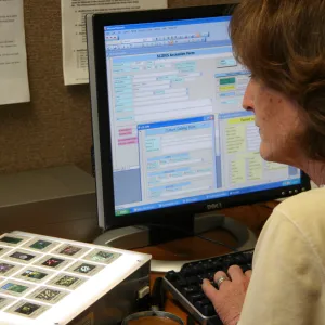 Betsy Collins, IMLS Digital Image Library Project