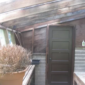 Guild House greenhouse