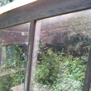 Guild House greenhouse