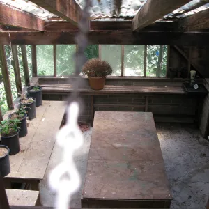 Guild House greenhouse