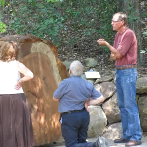 Giant Sequoia, Sequoiadendron gigantea, new Redwood Round in the Arroyo, Betsy Collins, Bob Muller