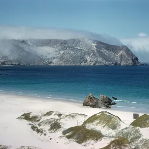 Coastal Sand Dune, San Miguel Island