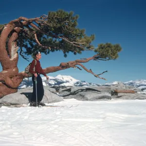 Bob Haller at Jeffrey Pine on Sentinel Dome, Yosemite