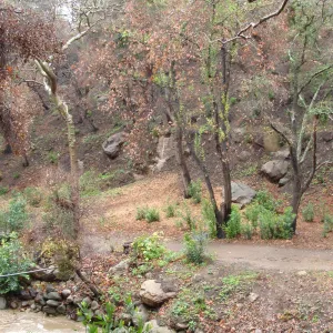 SBBG winter storm, January 2010, after Jesusita Fire