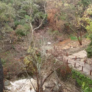SBBG winter storm, January 2010, after Jesusita Fire