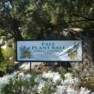 'Fall Plant Sale' banner, SBBG Fall Plant Sale 2010