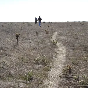 San Clemente Island, SBBG Research 2007, Bob Muller and Steve Junak